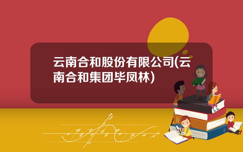 云南合和股份有限公司(云南合和集团毕凤林)