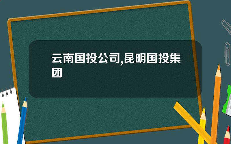 云南国投公司,昆明国投集团