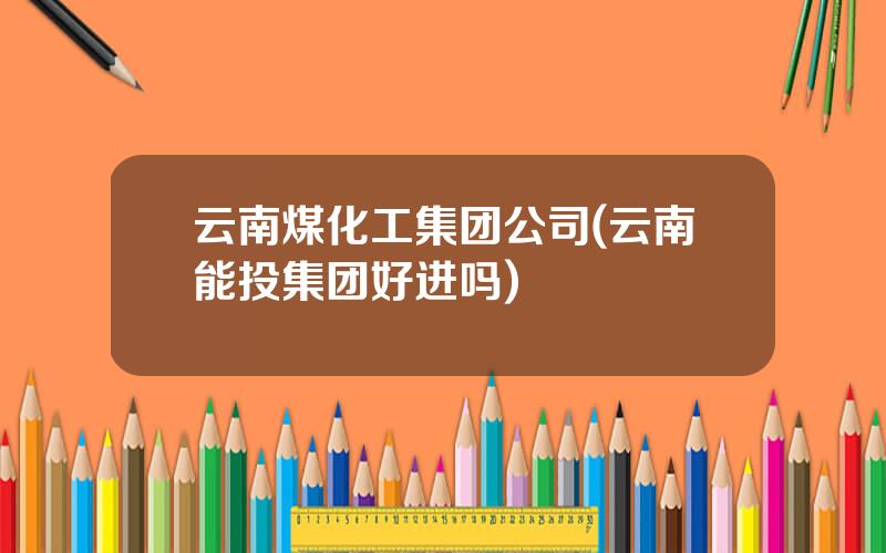 云南煤化工集团公司(云南能投集团好进吗)