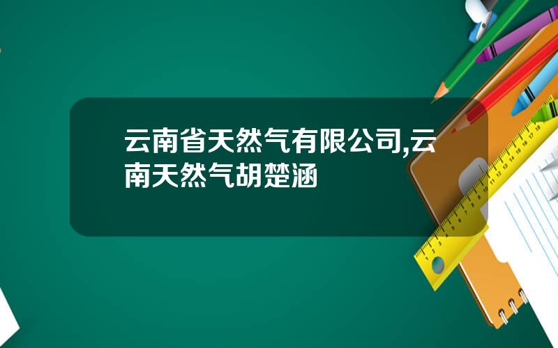 云南省天然气有限公司,云南天然气胡楚涵