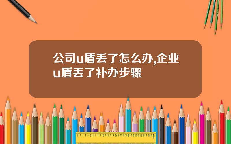 公司u盾丢了怎么办,企业u盾丢了补办步骤