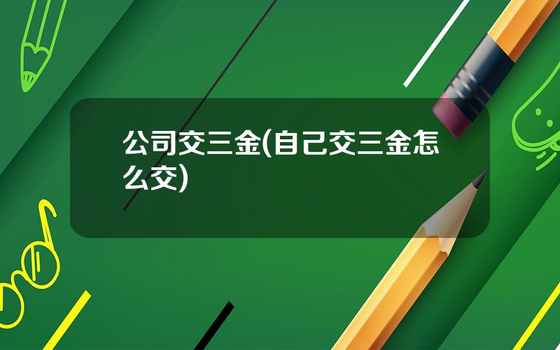 公司交三金(自己交三金怎么交)