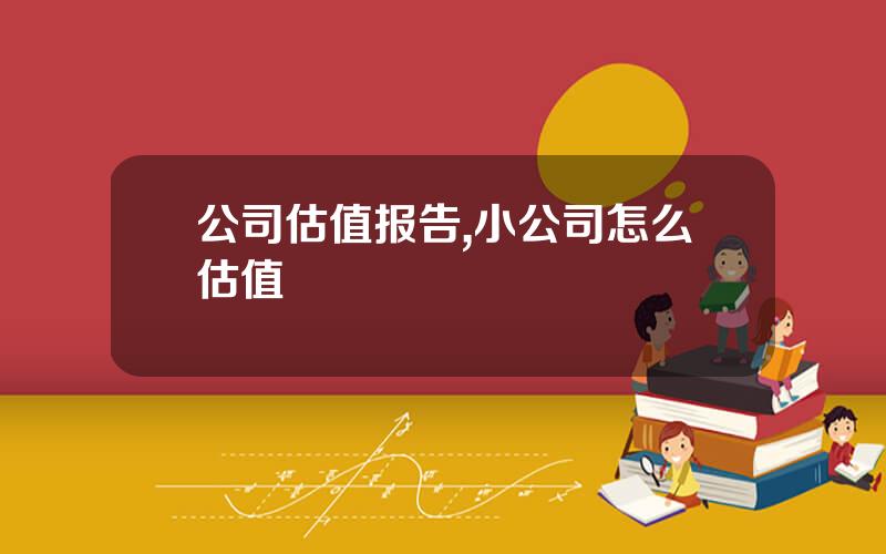 公司估值报告,小公司怎么估值