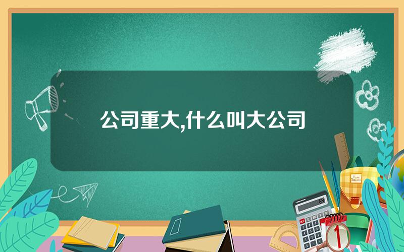 公司重大,什么叫大公司