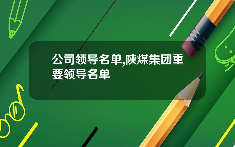 公司领导名单,陕煤集团重要领导名单