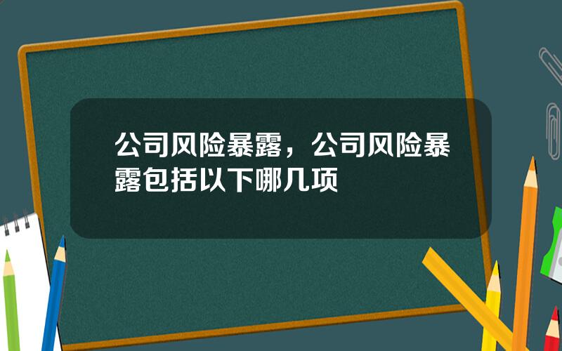 公司风险暴露，公司风险暴露包括以下哪几项