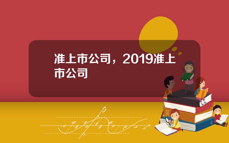 准上市公司，2019准上市公司