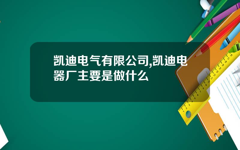 凯迪电气有限公司,凯迪电器厂主要是做什么