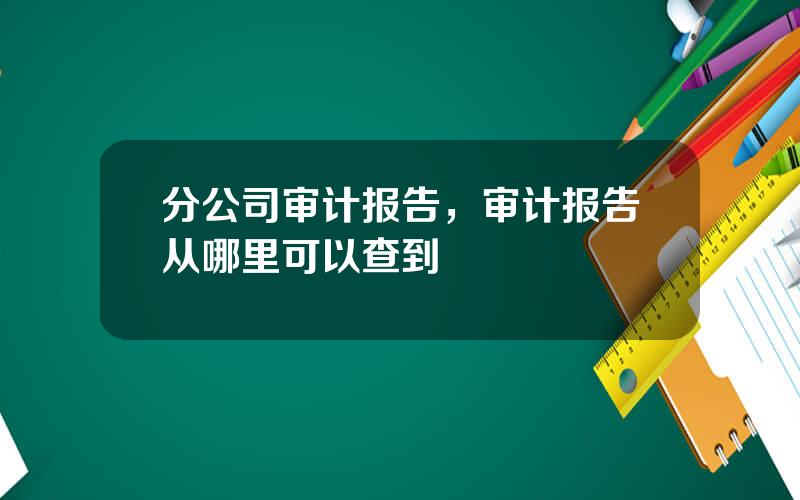 分公司审计报告，审计报告从哪里可以查到