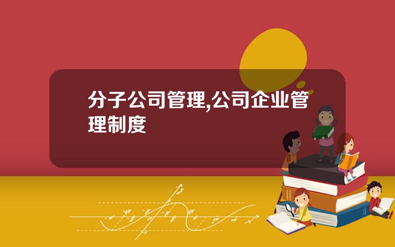 分子公司管理,公司企业管理制度