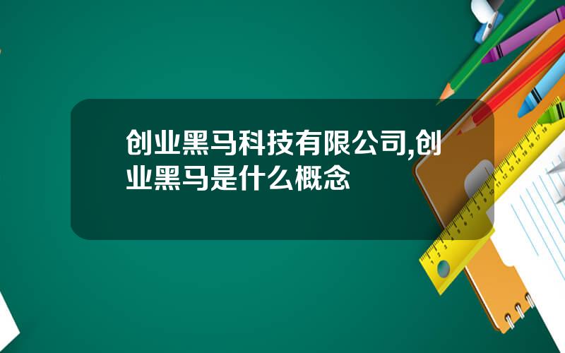 创业黑马科技有限公司,创业黑马是什么概念