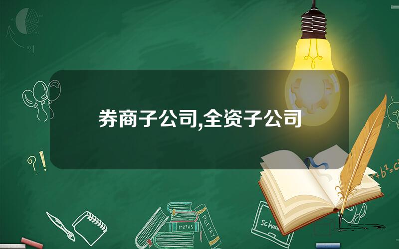 券商子公司,全资子公司