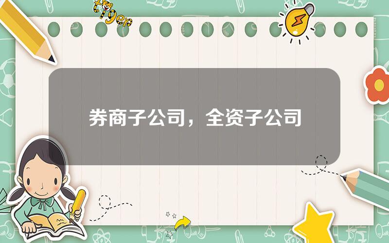 券商子公司，全资子公司