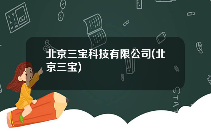 北京三宝科技有限公司(北京三宝)