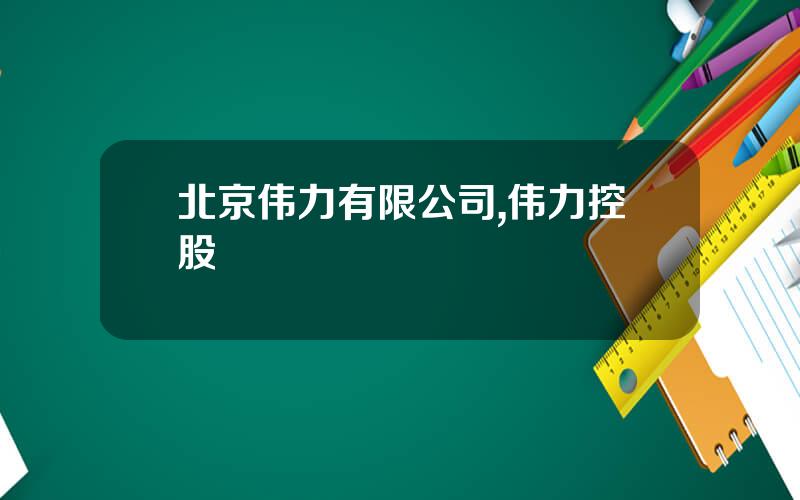 北京伟力有限公司,伟力控股