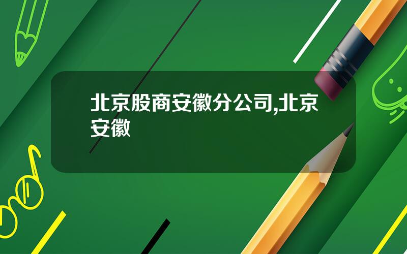 北京股商安徽分公司,北京安徽