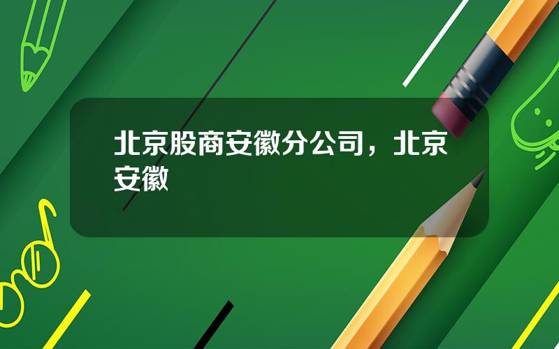 北京股商安徽分公司，北京安徽