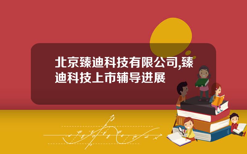北京臻迪科技有限公司,臻迪科技上市辅导进展