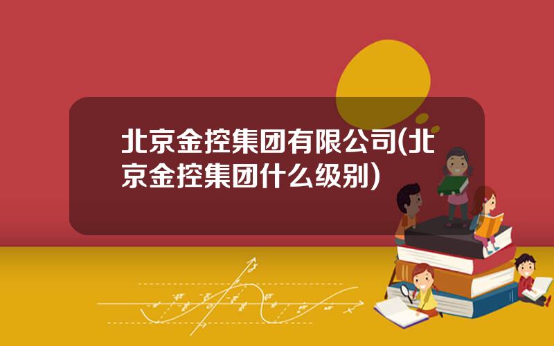 北京金控集团有限公司(北京金控集团什么级别)