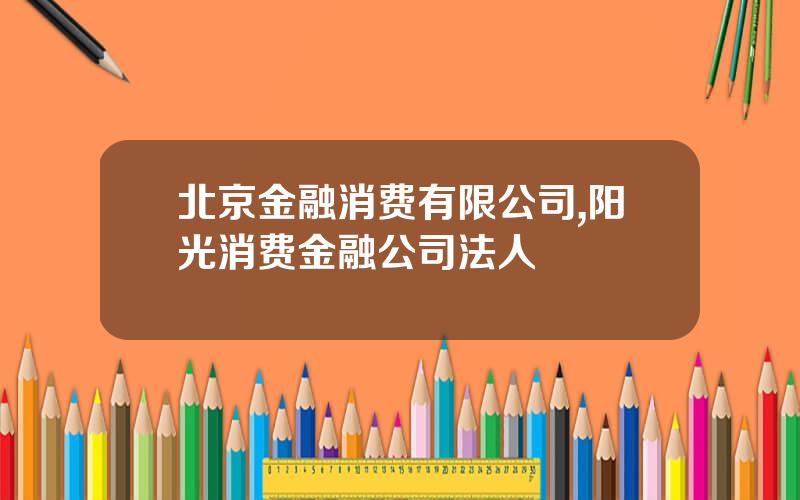 北京金融消费有限公司,阳光消费金融公司法人