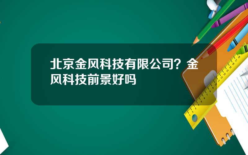 北京金风科技有限公司？金风科技前景好吗