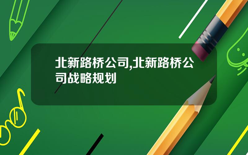 北新路桥公司,北新路桥公司战略规划