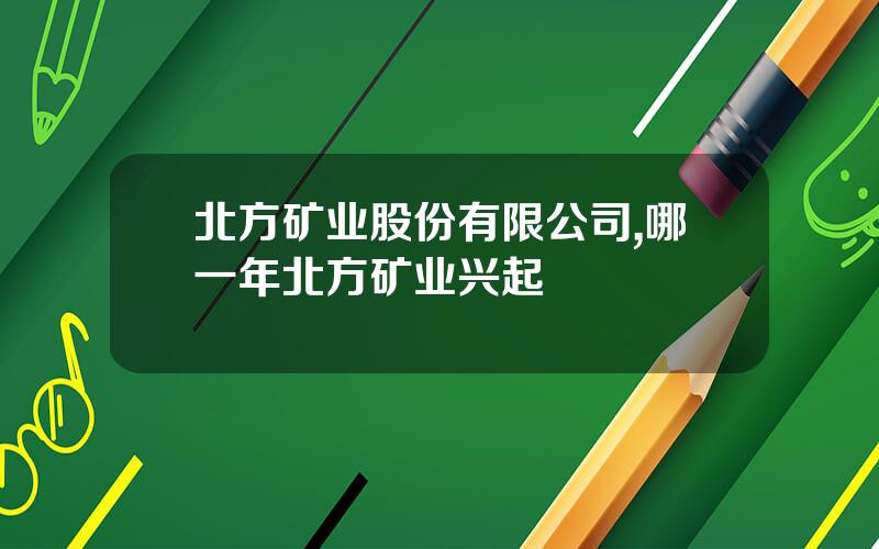 北方矿业股份有限公司,哪一年北方矿业兴起