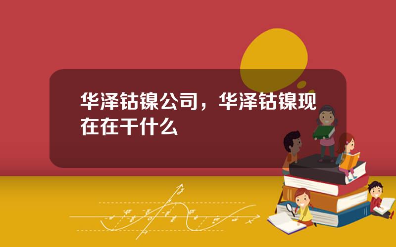 华泽钴镍公司，华泽钴镍现在在干什么