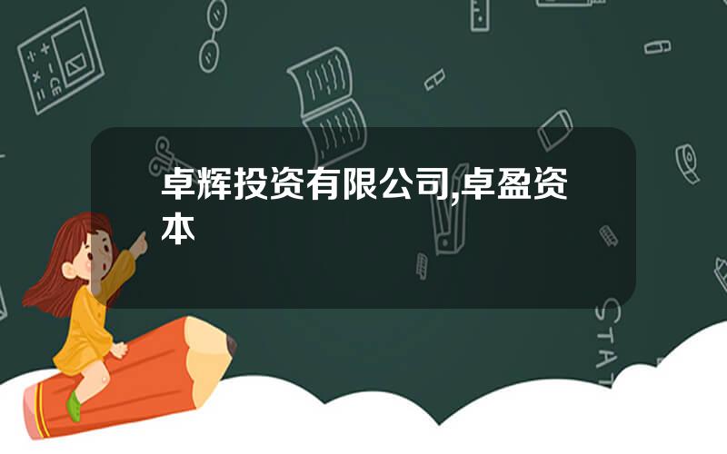 卓辉投资有限公司,卓盈资本