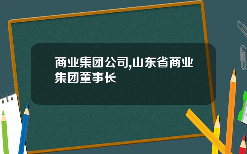 商业集团公司,山东省商业集团董事长