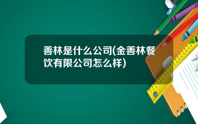 善林是什么公司(金善林餐饮有限公司怎么样)