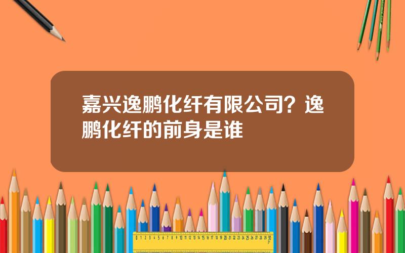 嘉兴逸鹏化纤有限公司？逸鹏化纤的前身是谁