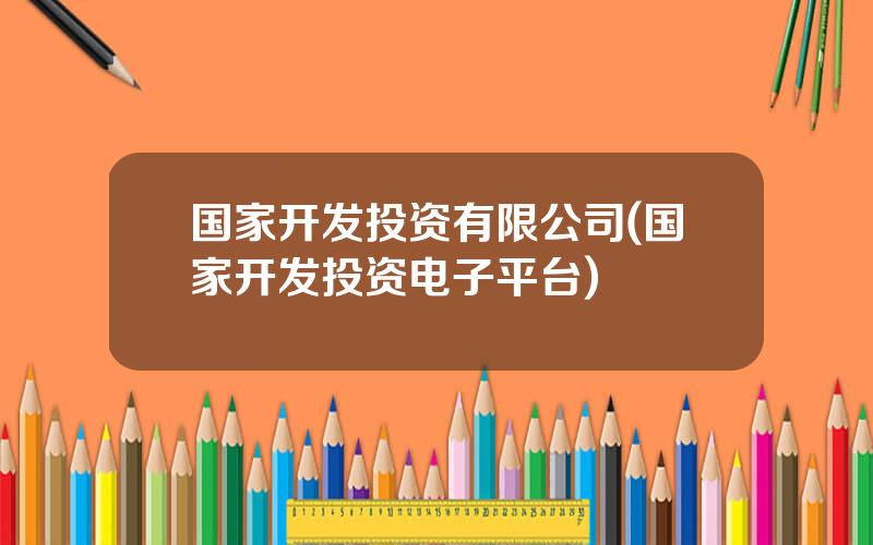 国家开发投资有限公司(国家开发投资电子平台)