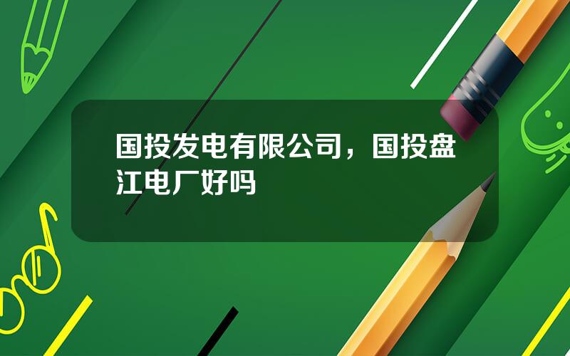 国投发电有限公司，国投盘江电厂好吗