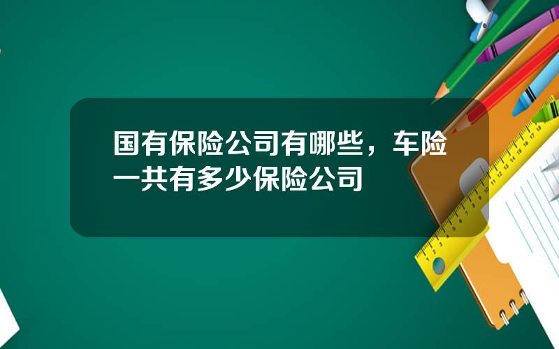 国有保险公司有哪些，车险一共有多少保险公司
