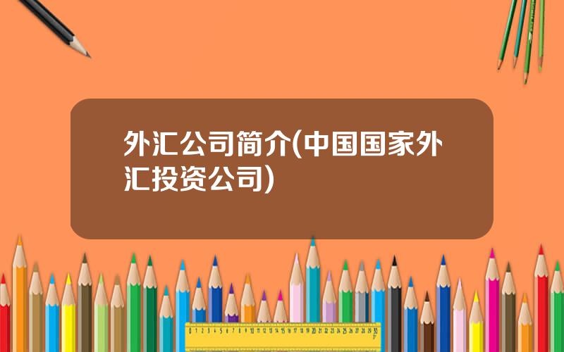 外汇公司简介(中国国家外汇投资公司)