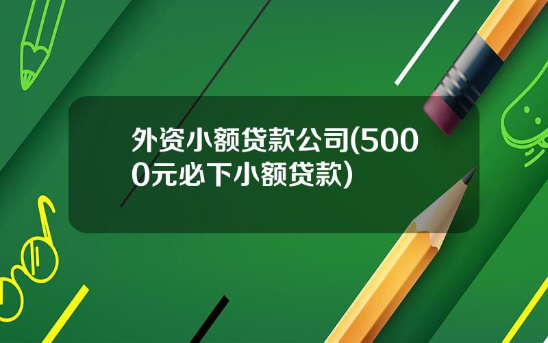 外资小额贷款公司(5000元必下小额贷款)