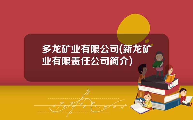 多龙矿业有限公司(新龙矿业有限责任公司简介)