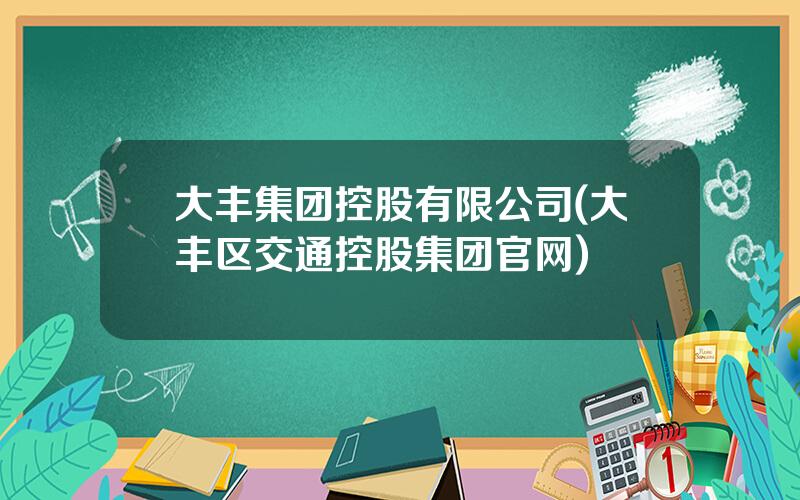 大丰集团控股有限公司(大丰区交通控股集团官网)