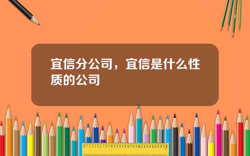 宜信分公司，宜信是什么性质的公司