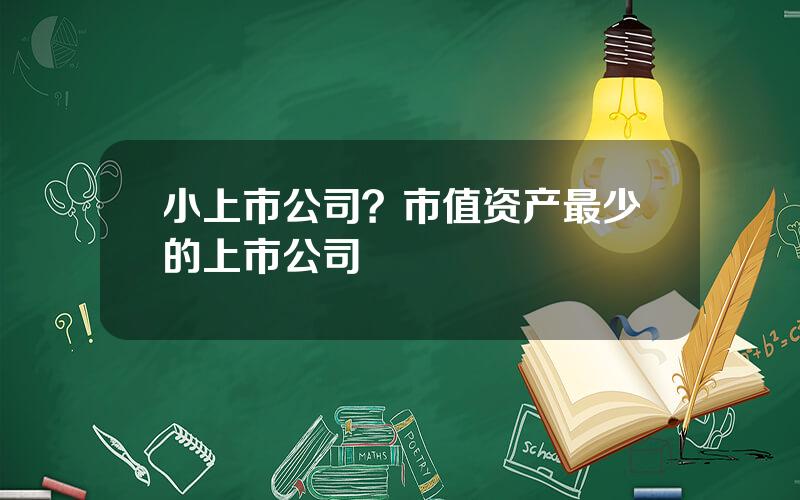 小上市公司？市值资产最少的上市公司