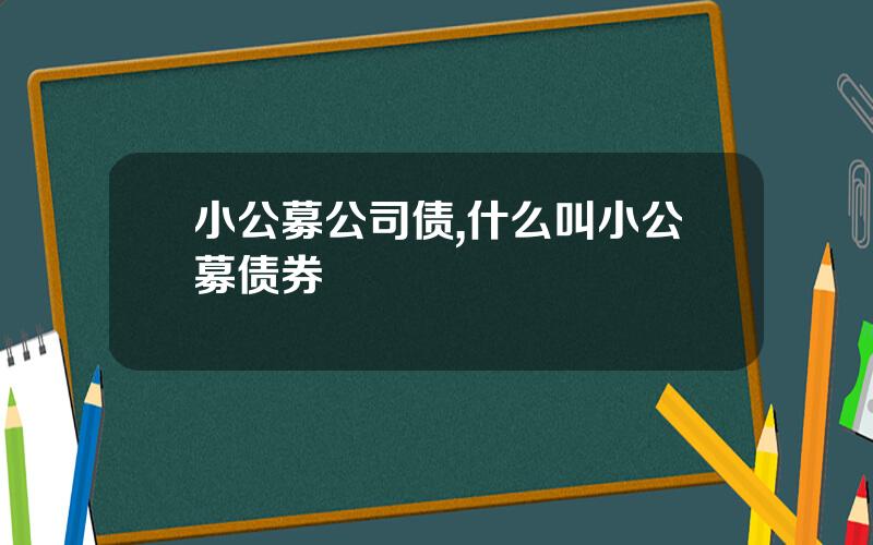 小公募公司债,什么叫小公募债券