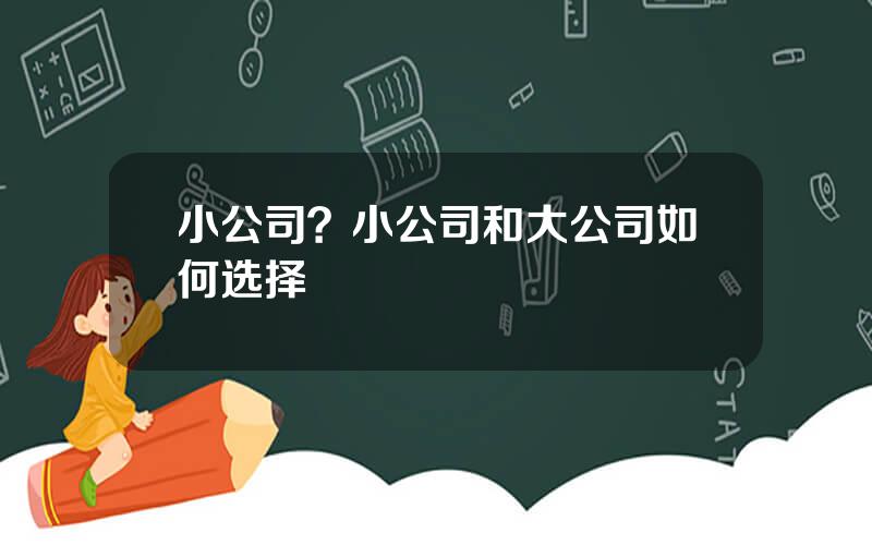 小公司？小公司和大公司如何选择