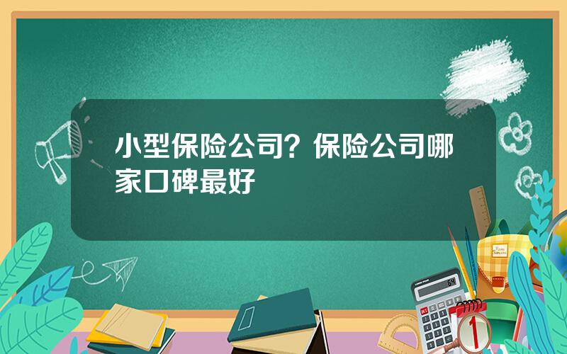 小型保险公司？保险公司哪家口碑最好