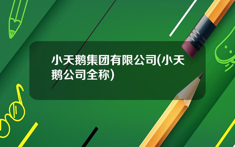 小天鹅集团有限公司(小天鹅公司全称)