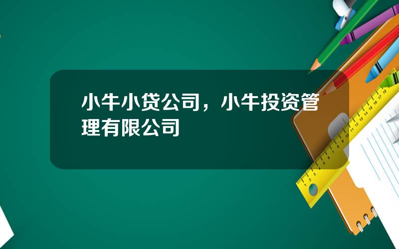 小牛小贷公司，小牛投资管理有限公司