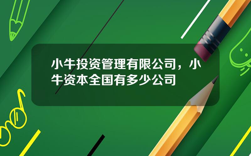 小牛投资管理有限公司，小牛资本全国有多少公司