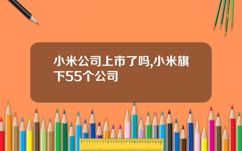 小米公司上市了吗,小米旗下55个公司