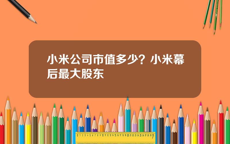 小米公司市值多少？小米幕后最大股东