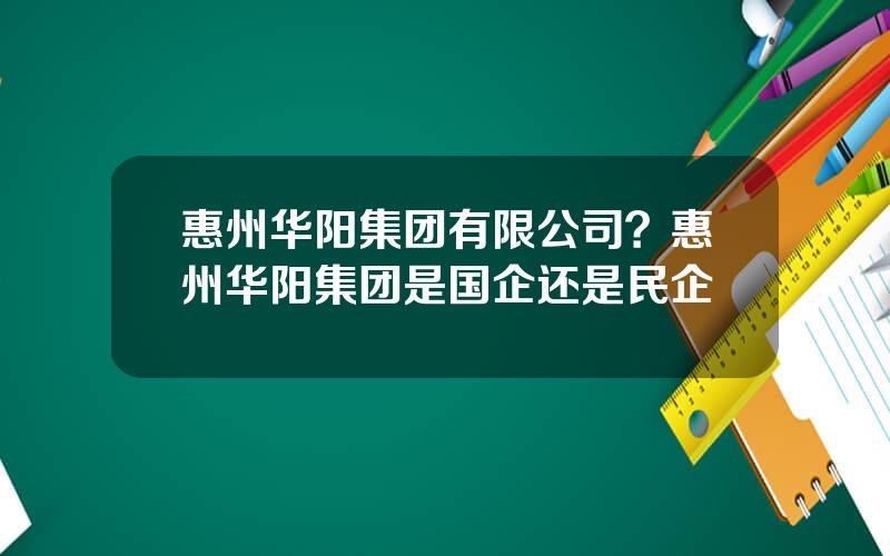 惠州华阳集团有限公司？惠州华阳集团是国企还是民企